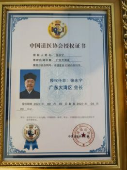 广东大湾区分会会长张永宁简介